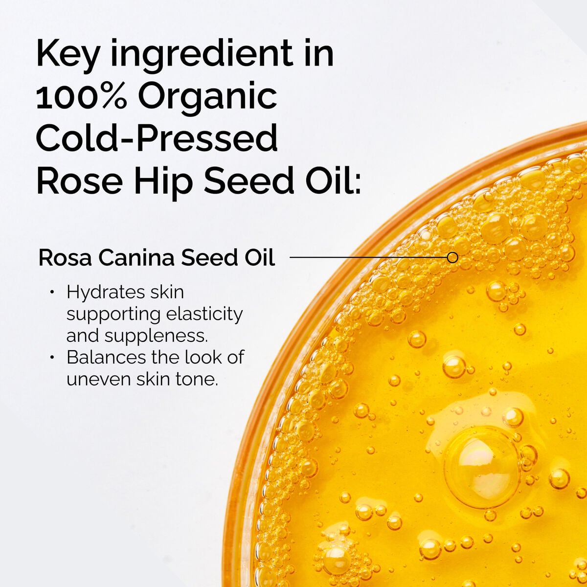 100-organic-cold-pressed-rose-hip-seed-oil-e7 FY25-D41247-ORD-Web-PDP-100-Rose-Hip-Oil-1x1-EN-2.jpg