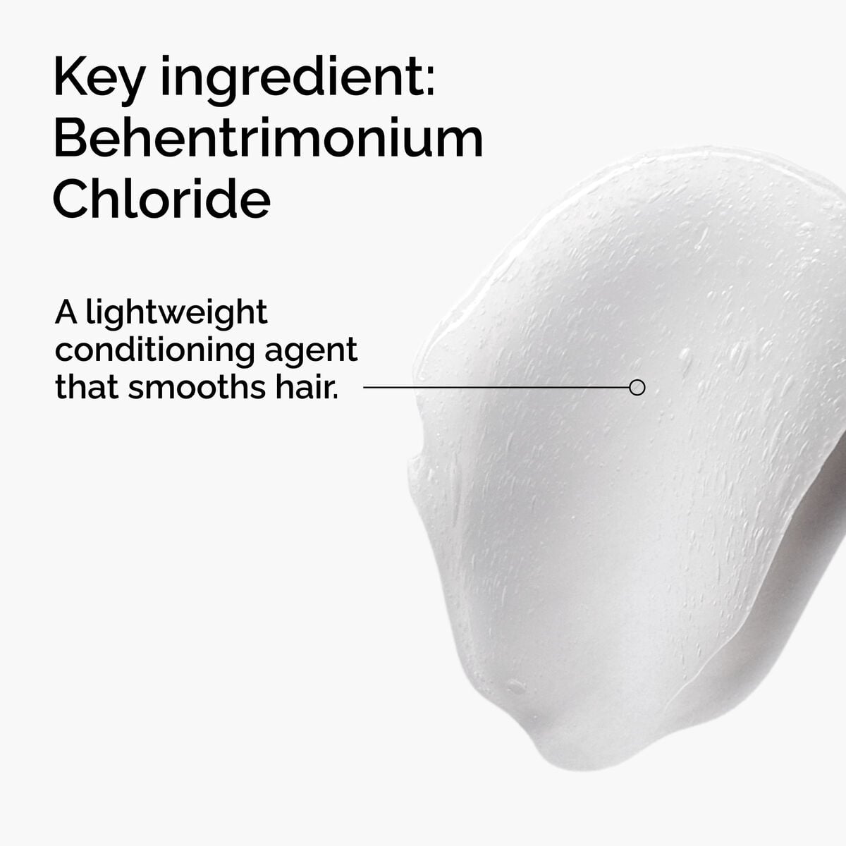 behentrimonium-chloride-2-conditioner-n1 FY25-D41247-ORD-Web-PDP-BTC-1x1-EN-2a.jpg