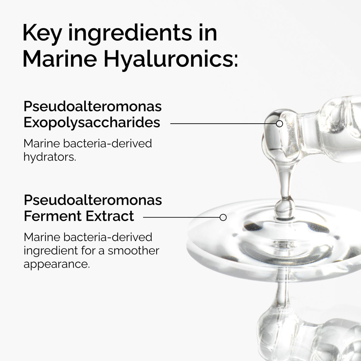 marine-hyaluronics-c0 FY25-D41247-ORD-Web-PDP-Marine-Hya-1x1-EN-2a.jpg
