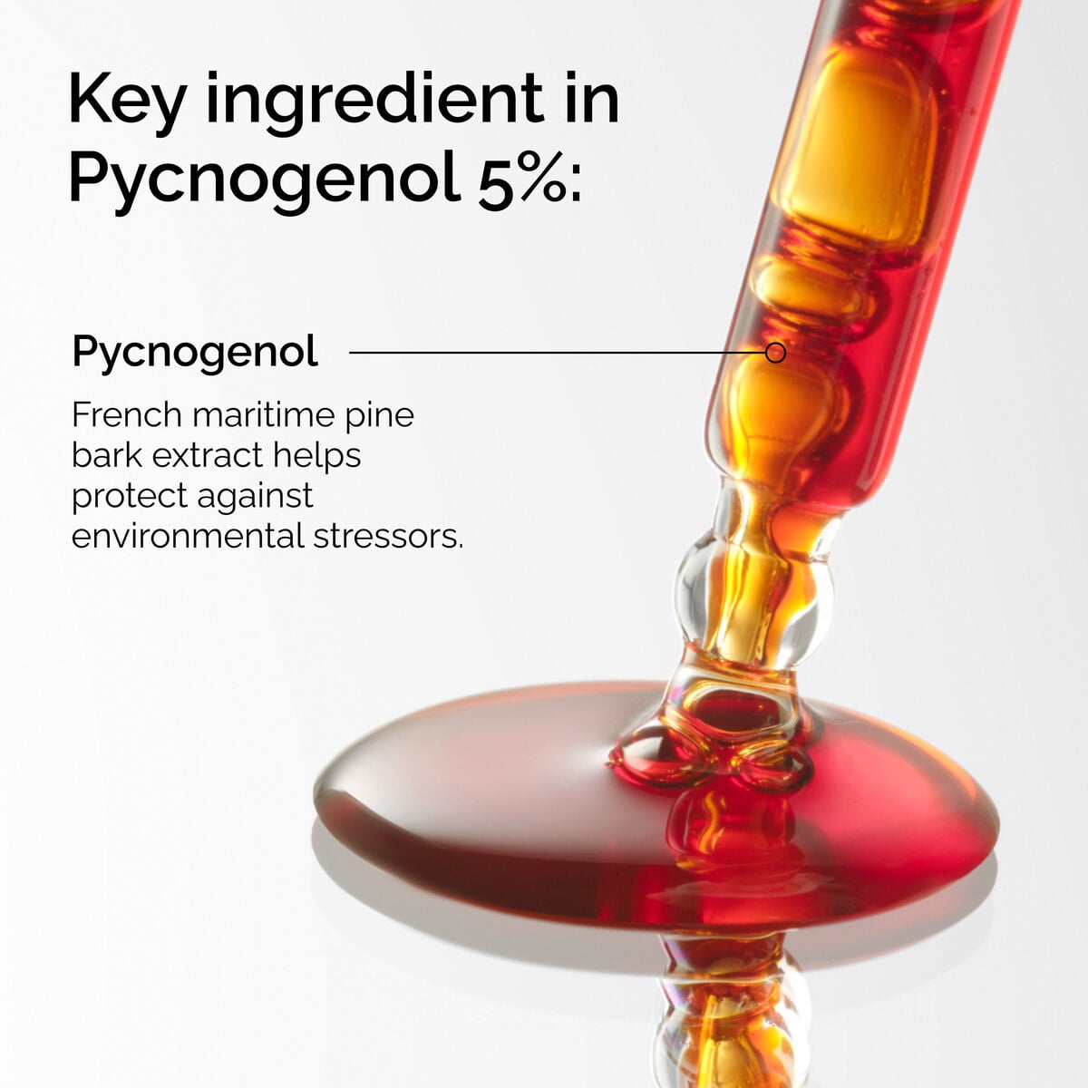 pycnogenol-5-b9 FY25-D41247-ORD-Web-PDP-Pyc-5pct-1x1-EN-2a.jpg