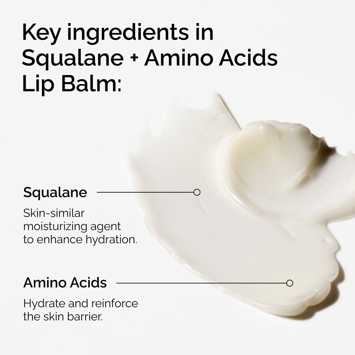 squalane-amino-acids-lip-balm-c2 FY25-D41247-ORD-Web-PDP-Sql-Amino-Lip-1x1-EN-2a.jpg