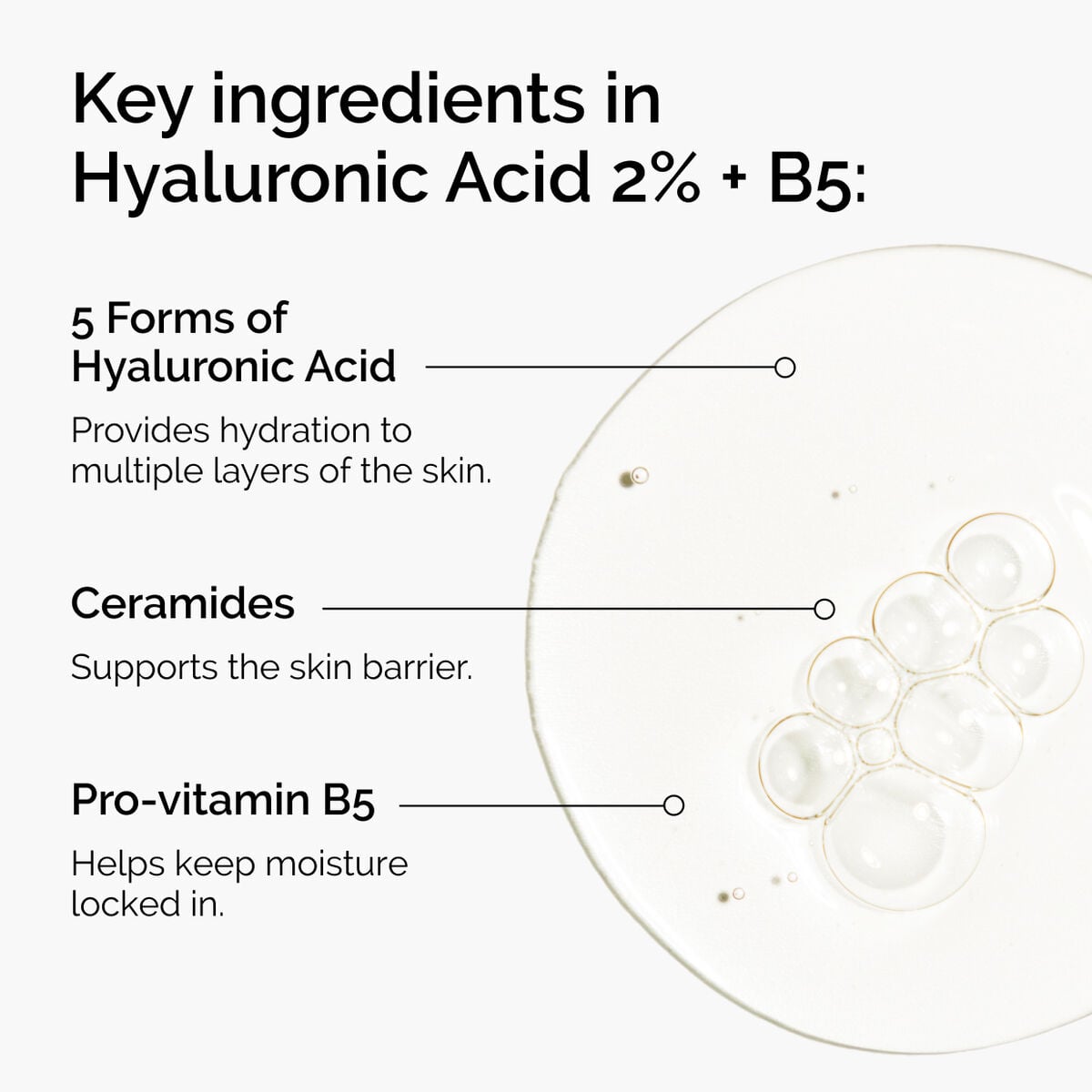 hyaluronic-acid-2-b5-with-ceramides-q2 ord-hyaluronic-acid-2pct-b5-hydrating-serum-ingredients-graphic.jpg