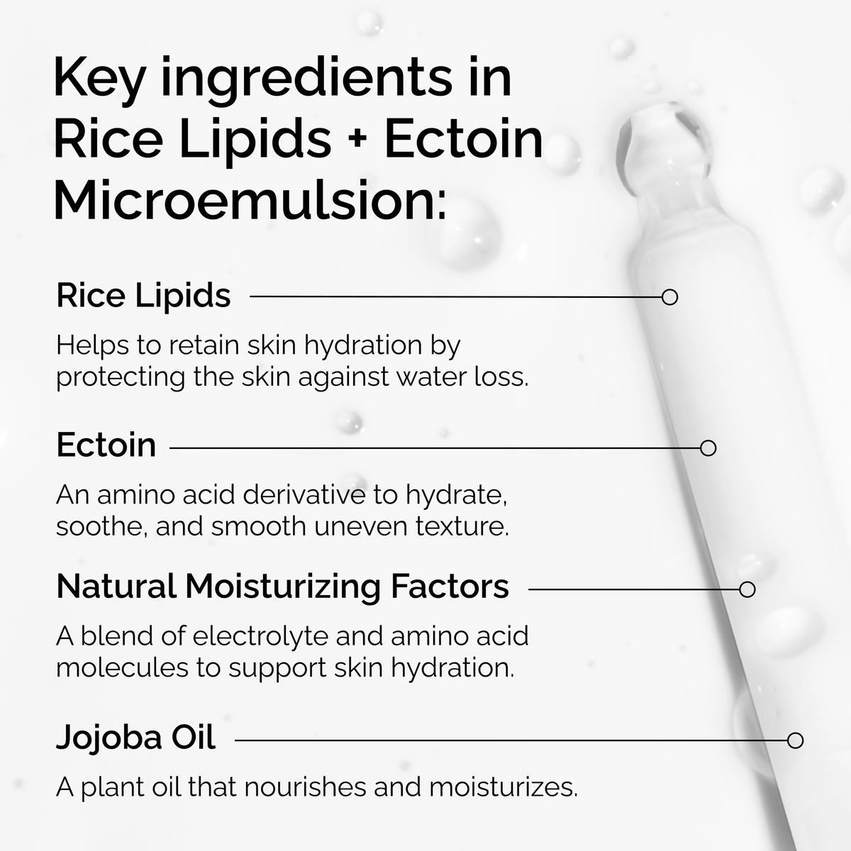 rice-lipids-ectoin-microemulsion-g6 ord-rice-lipids-ectoin-microemulsion-key-ingredients.png