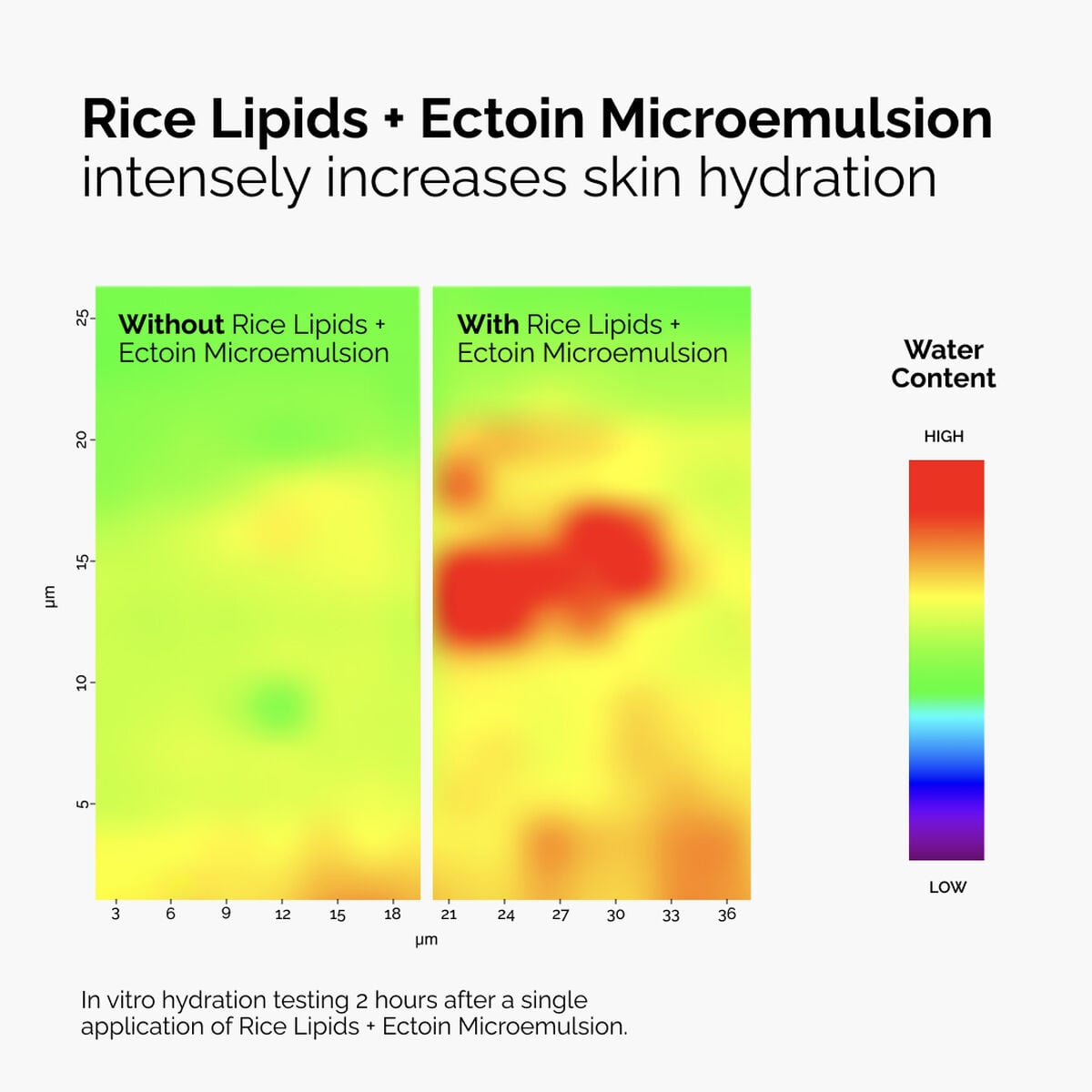 rice-lipids-ectoin-microemulsion-g6 ord-rice-lipids-ectoin-microemulsion-thermal-before-after.jpg